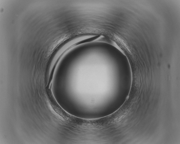 X0000087390538200704271625