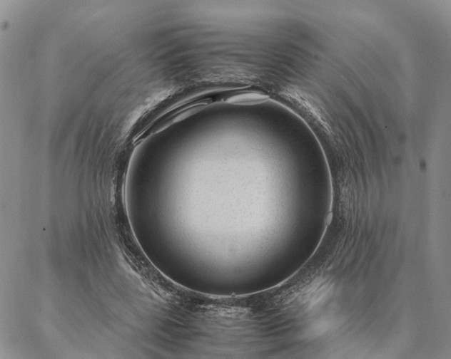 X0000087390539200704271625