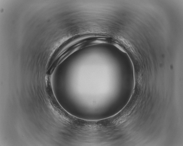 X0000087390540200704271625