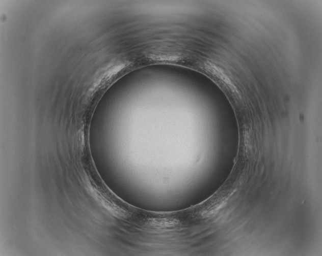 X0000087390541200704271625