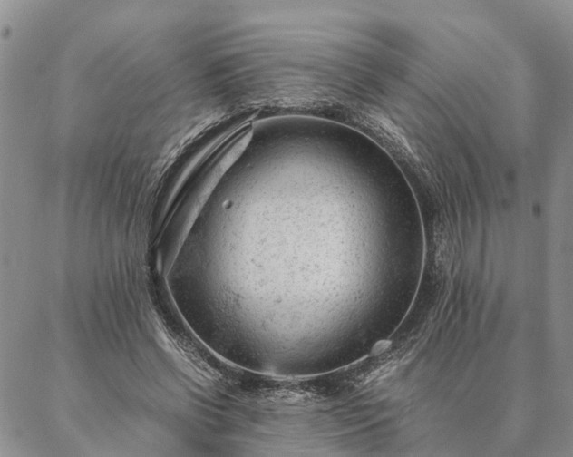 X0000087390542200704271625