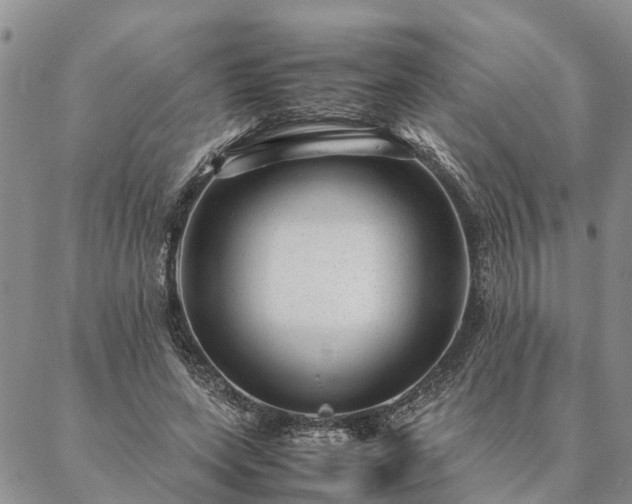 X0000087390543200704271625