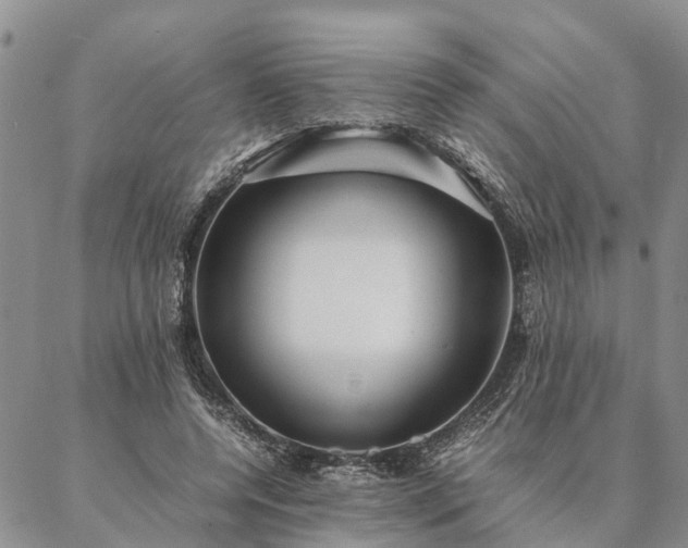 X0000087390544200704271625