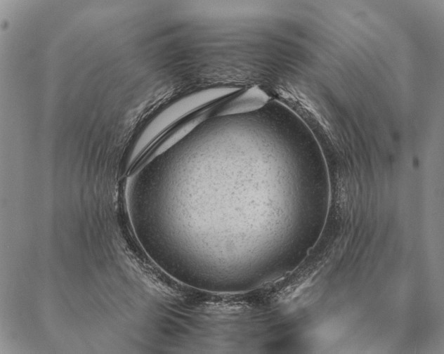 X0000087390545200704271625