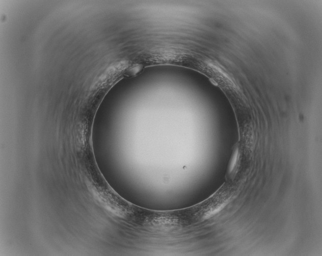 X0000087390546200704271625