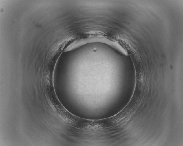 X0000087390547200704271625