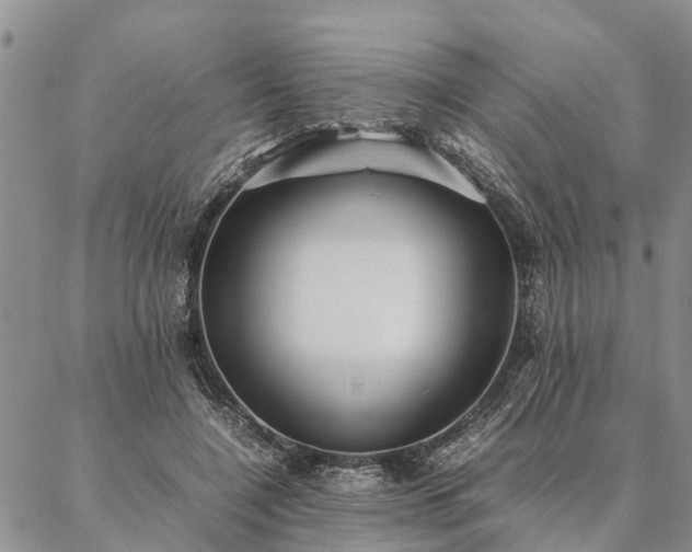 X0000087390548200704271625