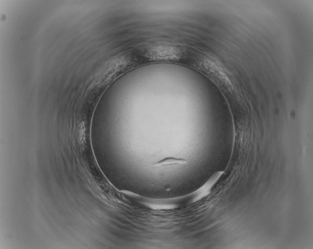 X0000087390549200704271625