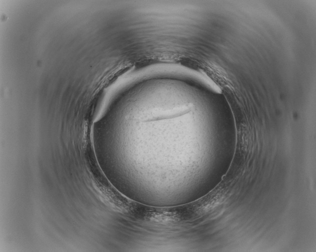 X0000087390550200704271625