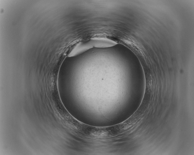 X0000087390551200704271625