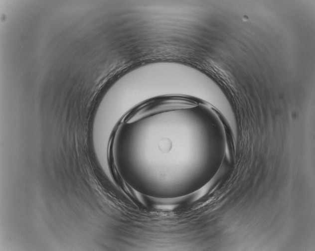 X0000087390552200704271625