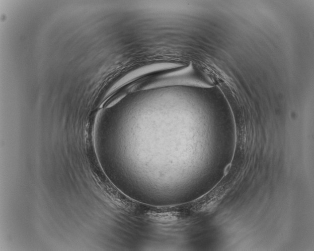 X0000087390553200704271625