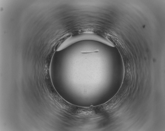 X0000087390555200704271625