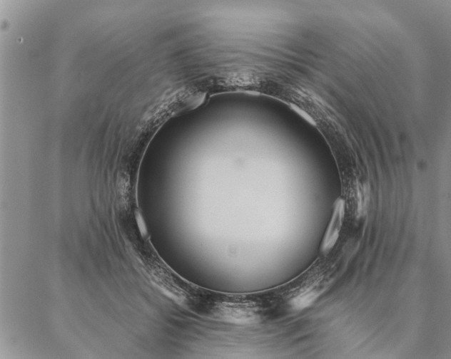 X0000087390556200704271625