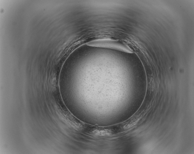 X0000087390557200704271625