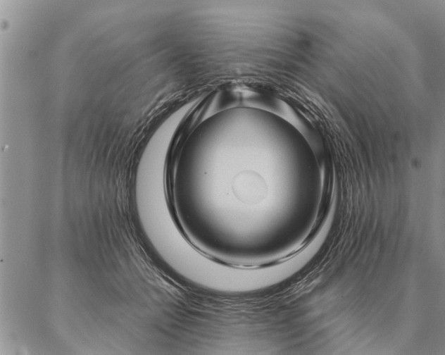 X0000087390558200704271625