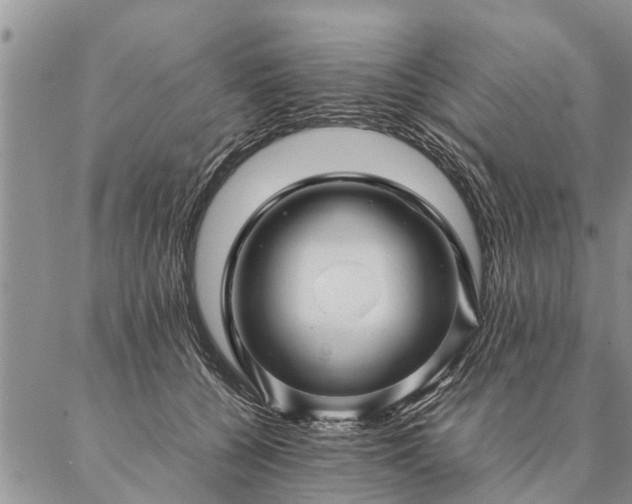 X0000087390560200704271625