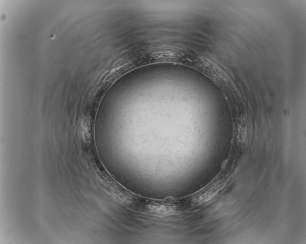 X0000087390561200704271625