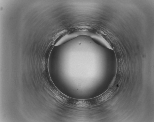 X0000087390562200704271625