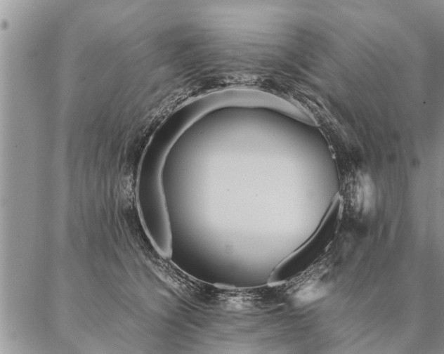 X0000087390564200704271625