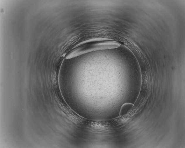 X0000087390565200704271625