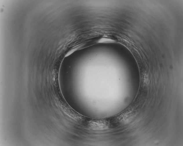 X0000087390567200704271625