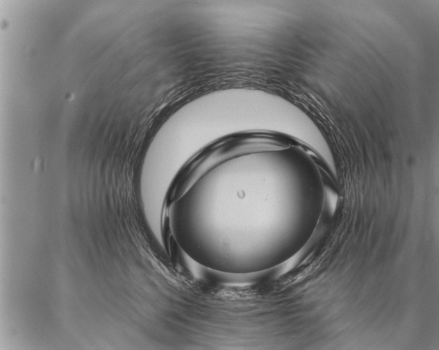 X0000087390568200704271625