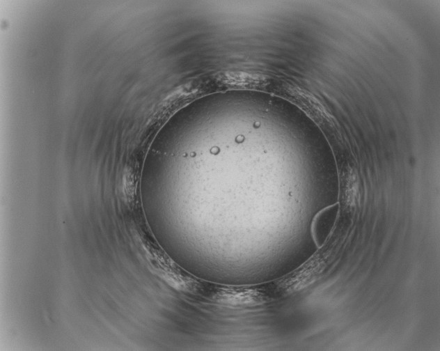 X0000087390569200704271625