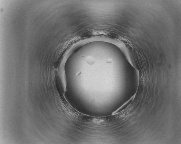 X0000087390570200704271625