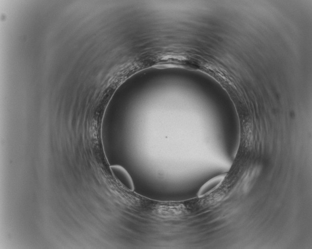 X0000087390571200704271625