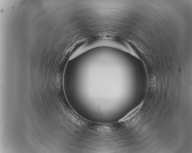 X0000087390572200704271625