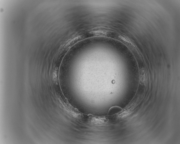 X0000087390573200704271625