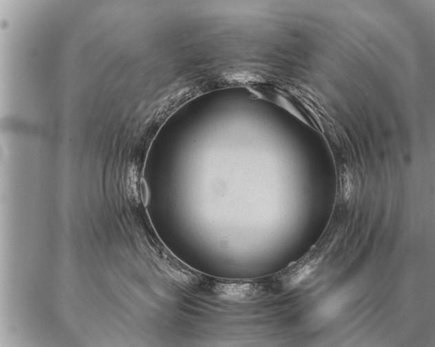 X0000087390575200704271625