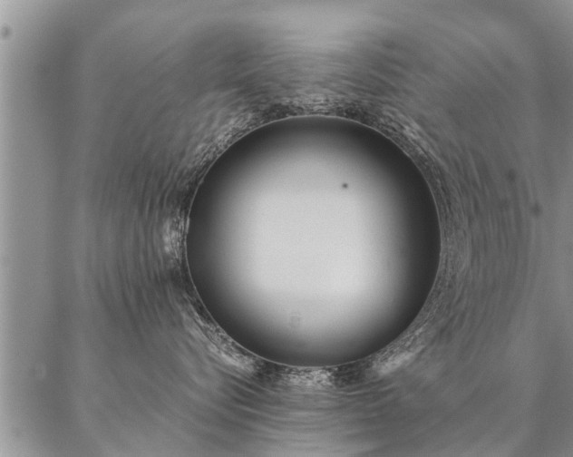 X0000087390576200704271625