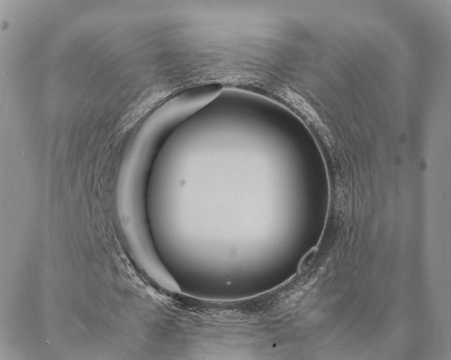 X0000087390577200704271624