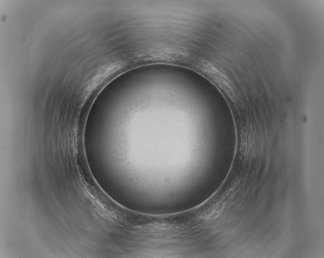 X0000087390578200704271624