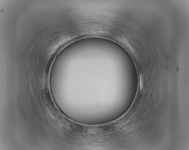 X0000087390579200704271624