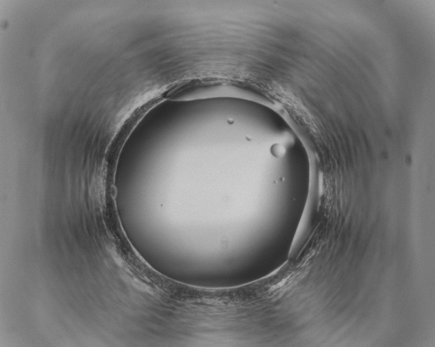 X0000087390580200704271624