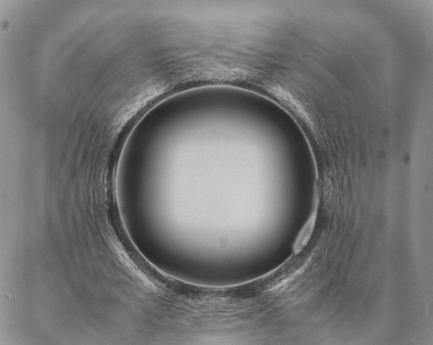 X0000087390581200704271624