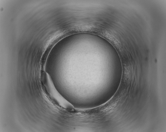 X0000087390582200704271624