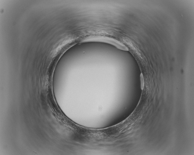 X0000087390583200704271624