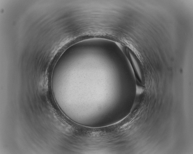 X0000087390584200704271624