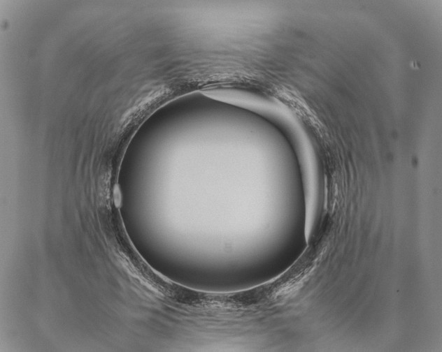 X0000087390585200704271624