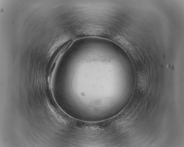 X0000087390586200704271624