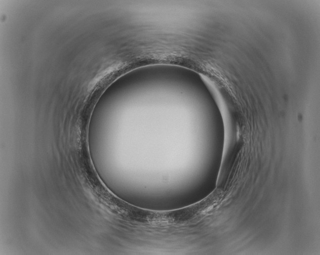 X0000087390587200704271624