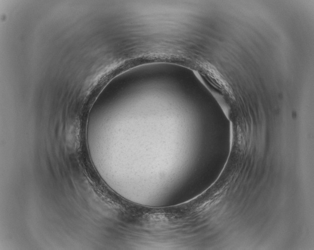 X0000087390588200704271624