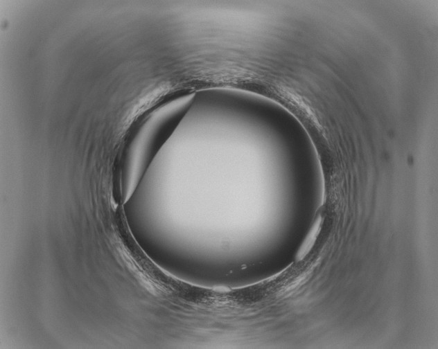 X0000087390589200704271624