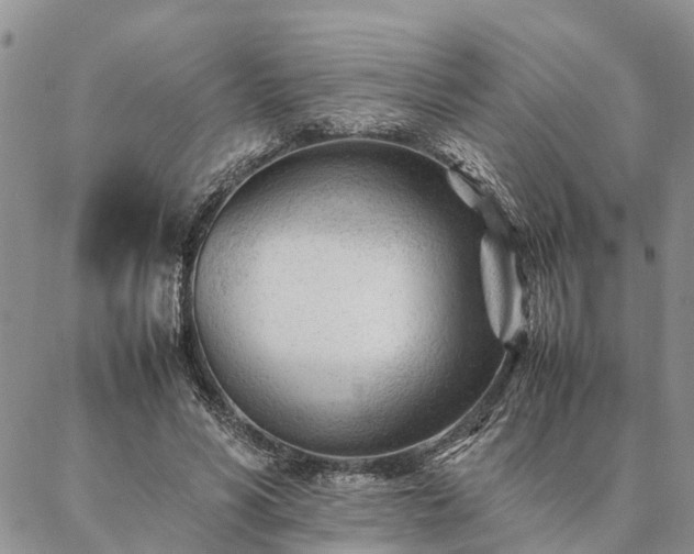 X0000087390590200704271624