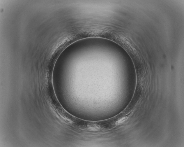 X0000087390591200704271624