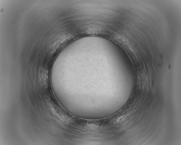 X0000087390592200704271624